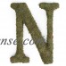 Large (15") Moss Monogram, A   555722657